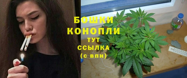 дурь Богданович