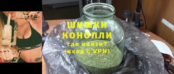 spice Богородицк